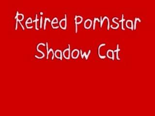Pornstar Shadow Cat Anal - Search results for \