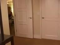 Brandi Love Swinging It With Naughty Allie