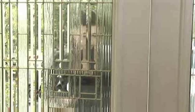 Georgia Jones Fucking Elexis Monroe