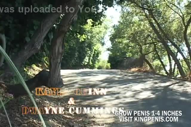 Ava Lauren Y Kayla Quinn : XXXBunker.com Porn Tube