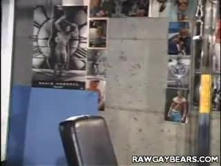 Muscle Bound Bear Hook Up