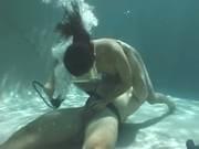 Underwater Scuba Sex Daisy Duxxe Part Xxxbunker Porn Tube